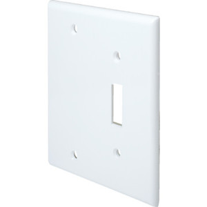 White Double Combo Wall Plate
