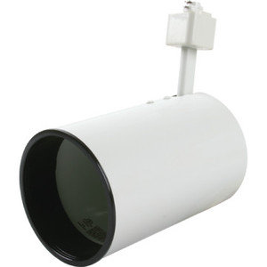 R20 PAR30 Track Light Head White