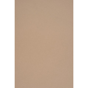 Parkland NRP-FR Wall Panel 48"x96" Khaki