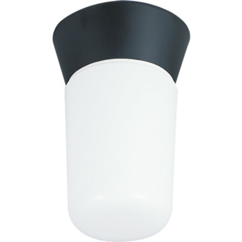 EXTERIOR OPAL CYLINDER CEILING FIXTURE EXTERIOR OPAL CYLINDER CEILING FIXTURE
