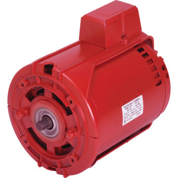 Armstrong 225BS 1/10 HP Circulator Pump