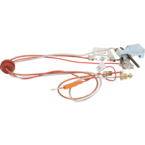 Pilot Assembly 200 With Filter & Gasket Pilot Assembly 200 With Filter & Gasket