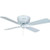 42" Clng Fan Hm White