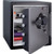 Sentry Fire Rated Electronic Safe "Fob"