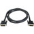 6Ft. Dvi Digital Video Cable