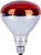 Reflector Bulb 250W Heat Red