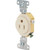 15 Amp Single Outlet Receptacle