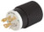Male U-Ground Locking Plug - 30 Amp - 125/250 Volt - Black/White