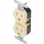 15 Amp Duplex Wall Recptacle, Package of 10