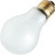 A Bulb Value Light 100W A19 Frost 130V 120pk