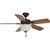 Seasons 44" Dual-Mount Ceiling Fan Bronze Bowl Light Kit