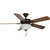Seasons 52" Dual-Mount Ceiling Fan Bronze Bowl Light Kit