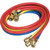 JB 60" Premium Charging Hose Set