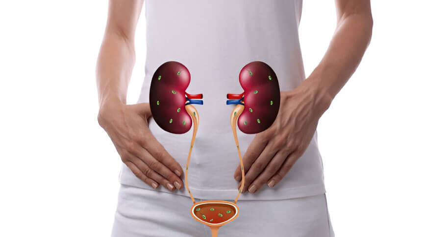 Urinary Tract Infection (UTI)