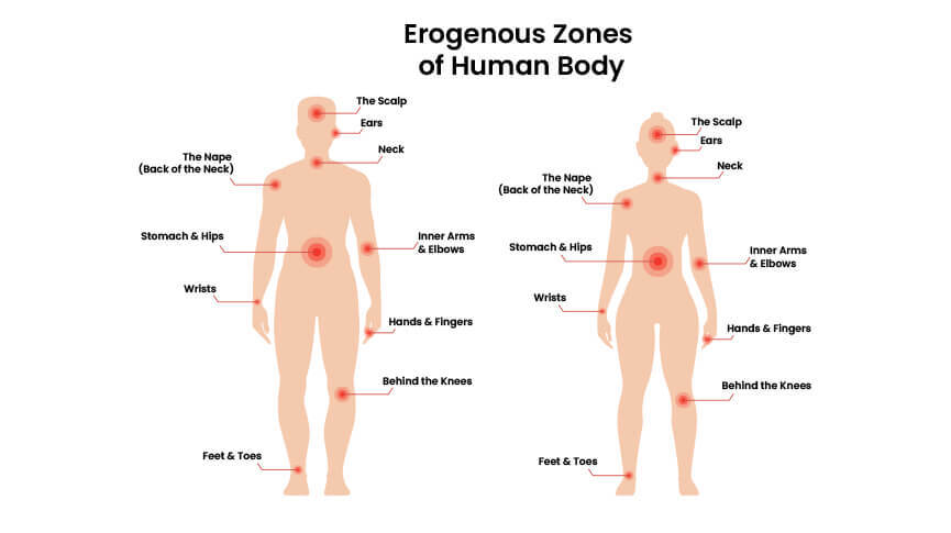 Erotic Zones You're Overlooking (That Aren't Genitals)