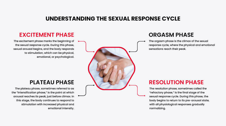 Understanding the Sexual Response Cycle: Order, Phases & Key Insights for Sexual Wellness