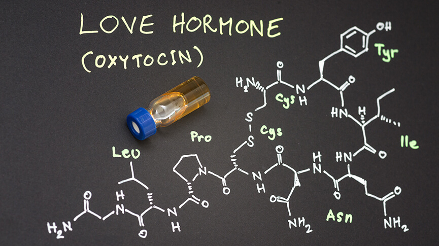 What Is the Love Hormone, Oxytocin? The Science of Intimacy