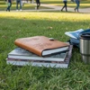 American Renaissance Journal