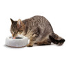Heavy-Weight Splash-Resistant Pottery Water Bowl and Cats