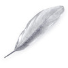 Sterling Silver Feather Brooch