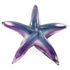 Blown Glass Starfish Paperweight Sculpture