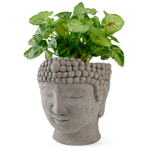 Concrete Head Planter Concrete Head Planter