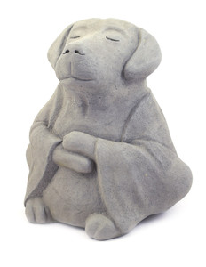 Concrete Buddha Dog