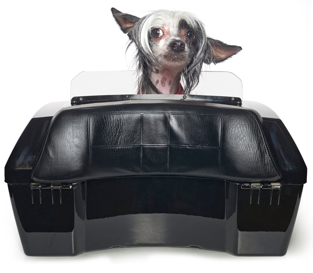 Large Motorcycle Pet Carrier | Motorcycle Dog Carriers