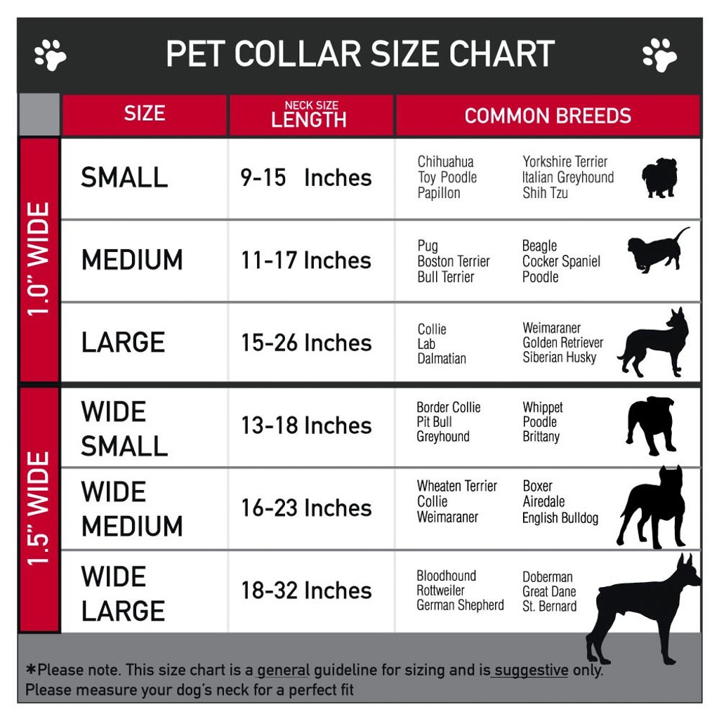 Dog Collar Size Chart In Inches