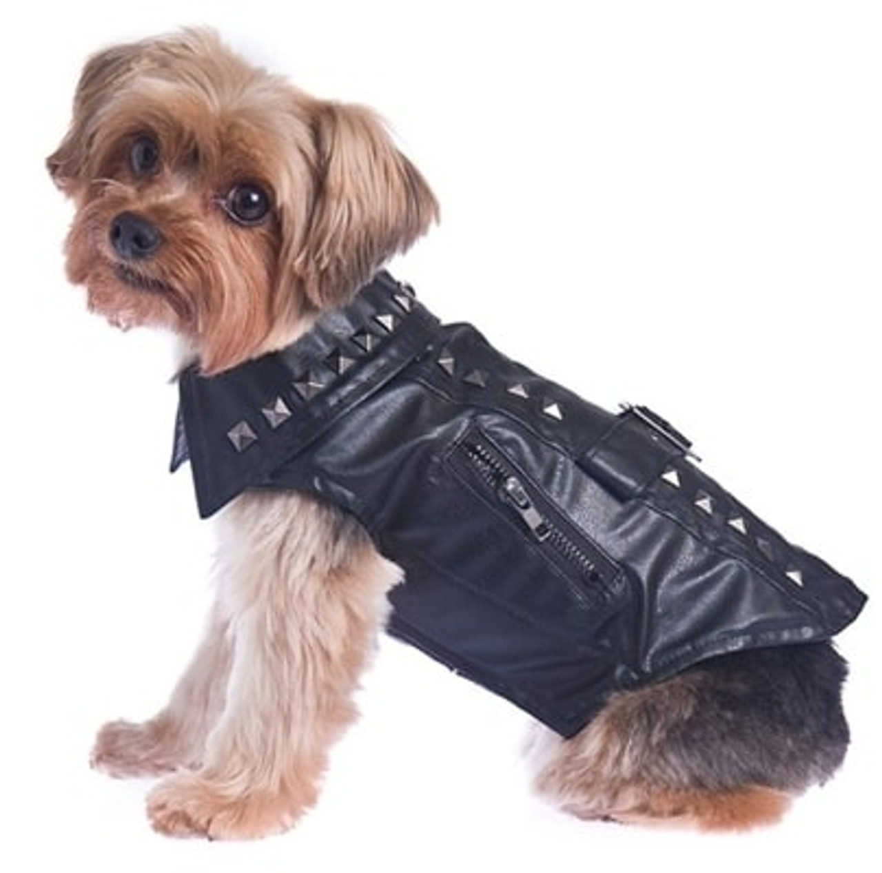 Dog Jacket | Black Pleather Biker Dog Jacket | Rockstar Puppy Boutique