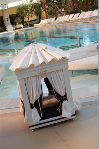 Faux Fireplace Dog Bed Luxury Dog Furniture Rockstar Puppy Boutique