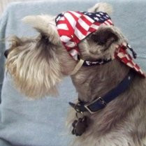 Doo Rag for Dogs | Biker Dog Accessories | American Flag Doo Rag for Dogs