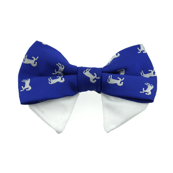 navy dog bow tie