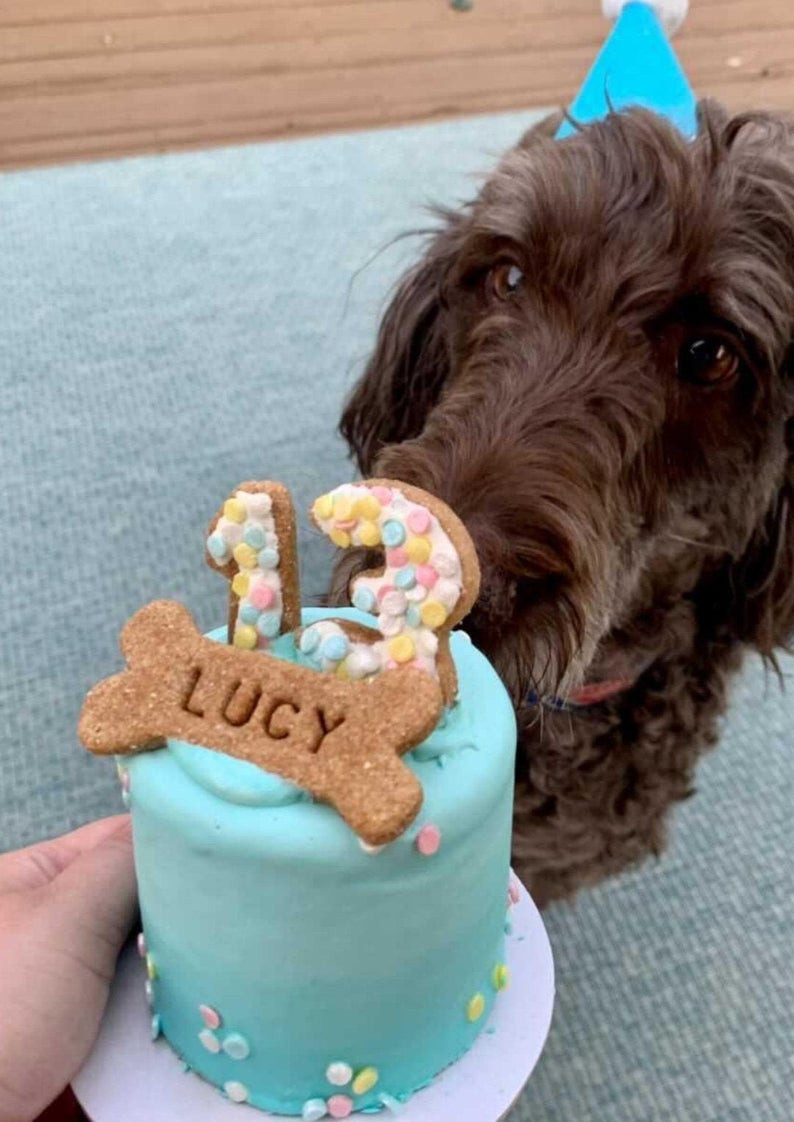 order dog cake