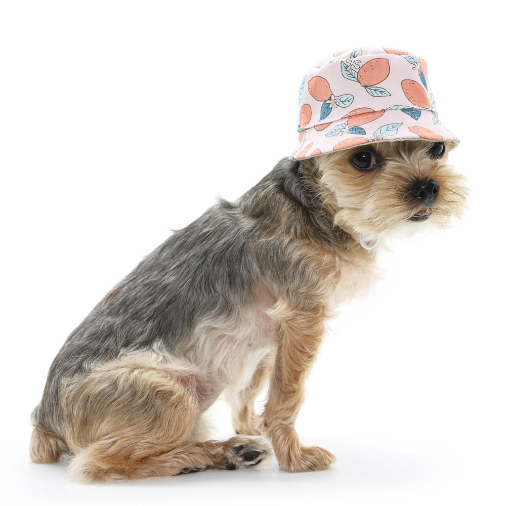 Dog Bucket Hat Lemon Pink Rockstar Puppy Boutique