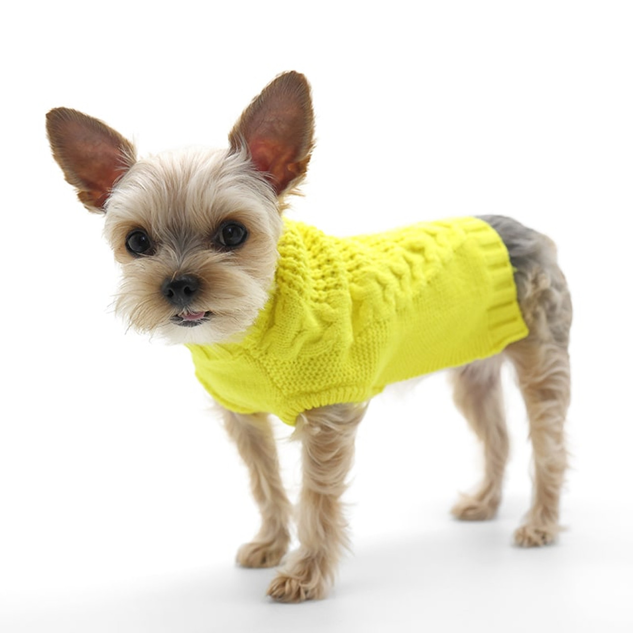 Dog Dress Pet Dress Yellow Dog Dress Yellow Pet Dress Dog 