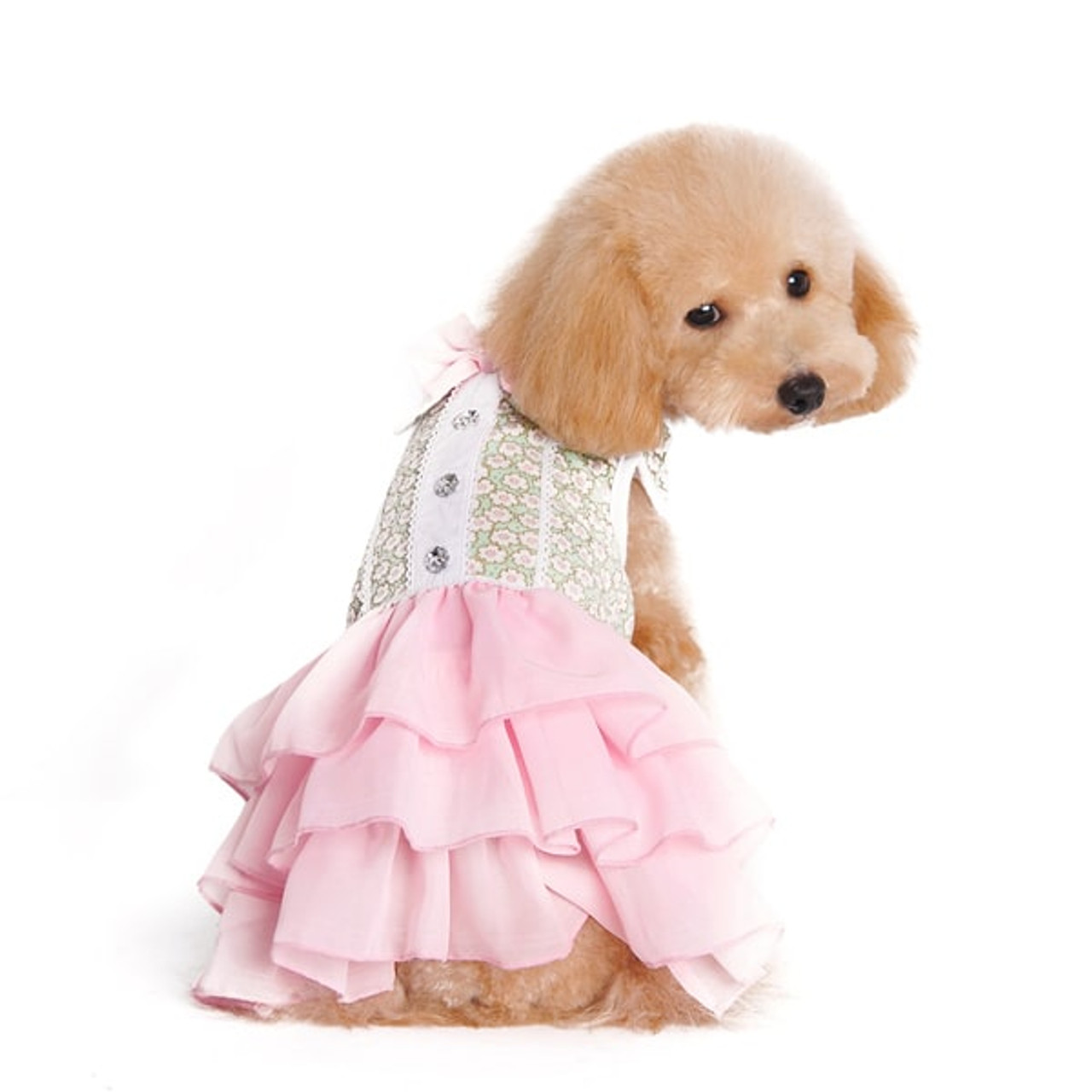 Dripping Dog Clothing - “Dress shabbily and they remember the