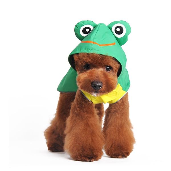 Dog Raincoat Frog Rockstar Puppy Boutique