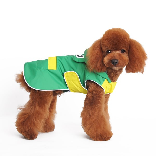 Dog Raincoat Frog Rockstar Puppy Boutique