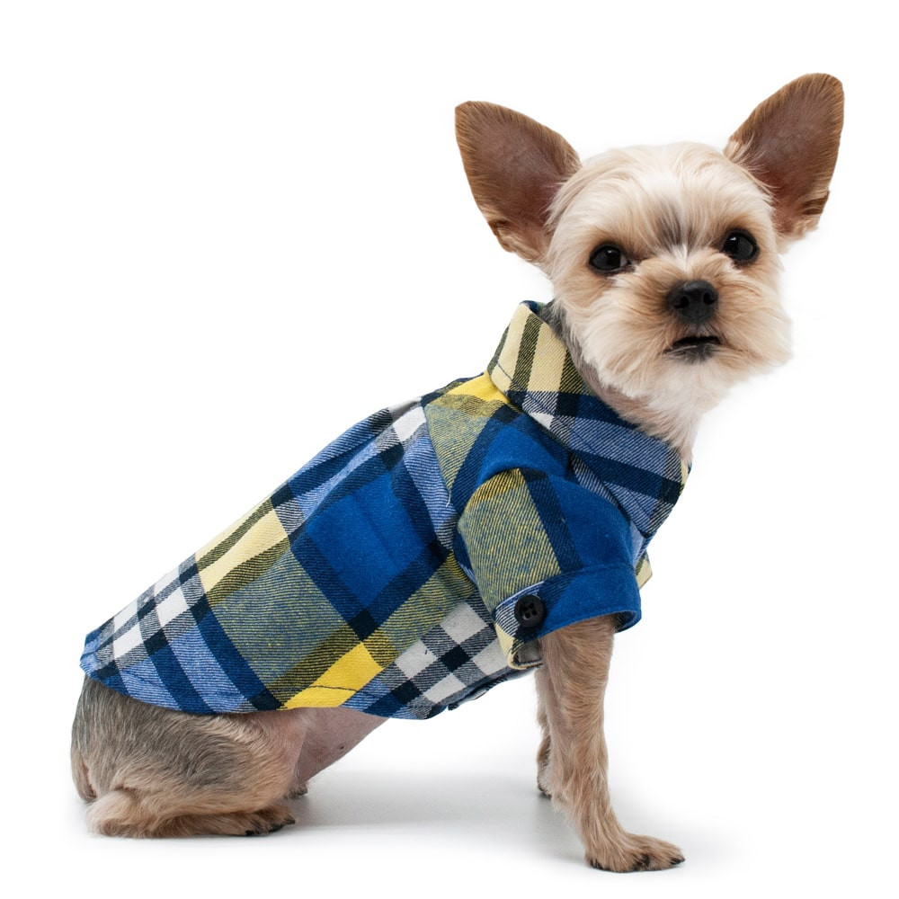 Dog Flannel Shirt Button Down Blue Rockstar Puppy Boutique