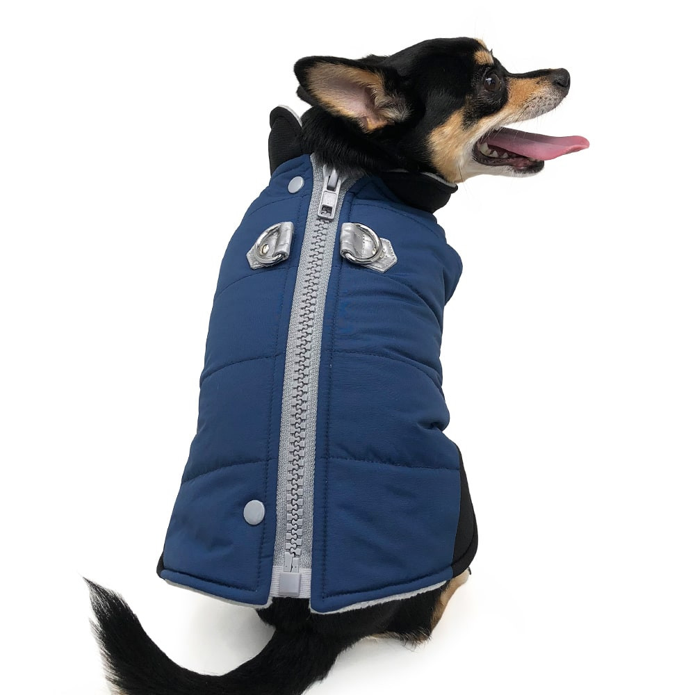 stylish dog coats