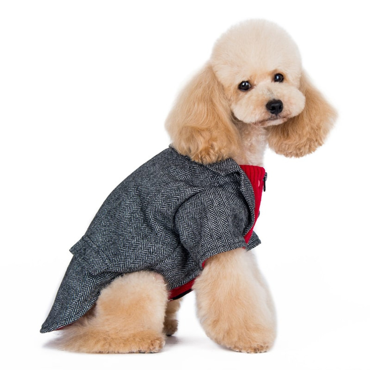 Dog Tweed Blazer | Rockstar Puppy Boutique