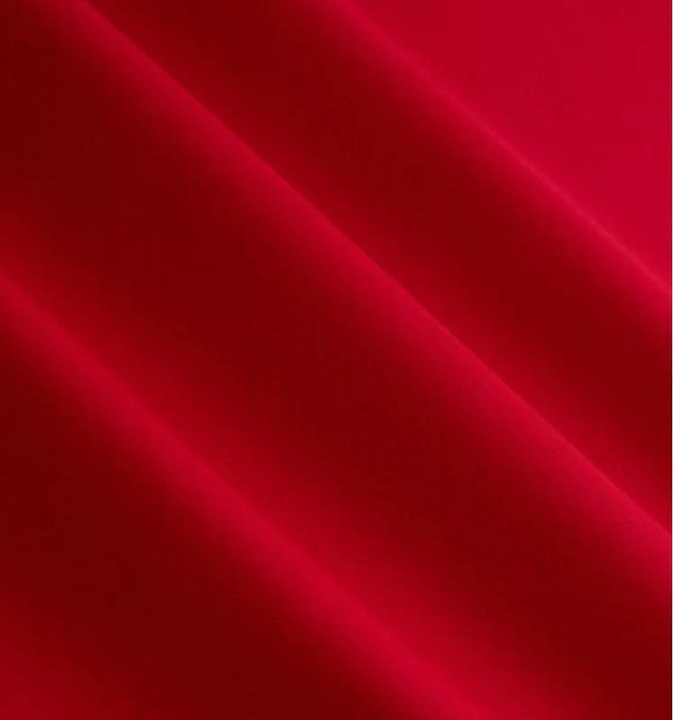 Dog Bandana Fido Pet Lifeguard Rockstar Puppy Boutique