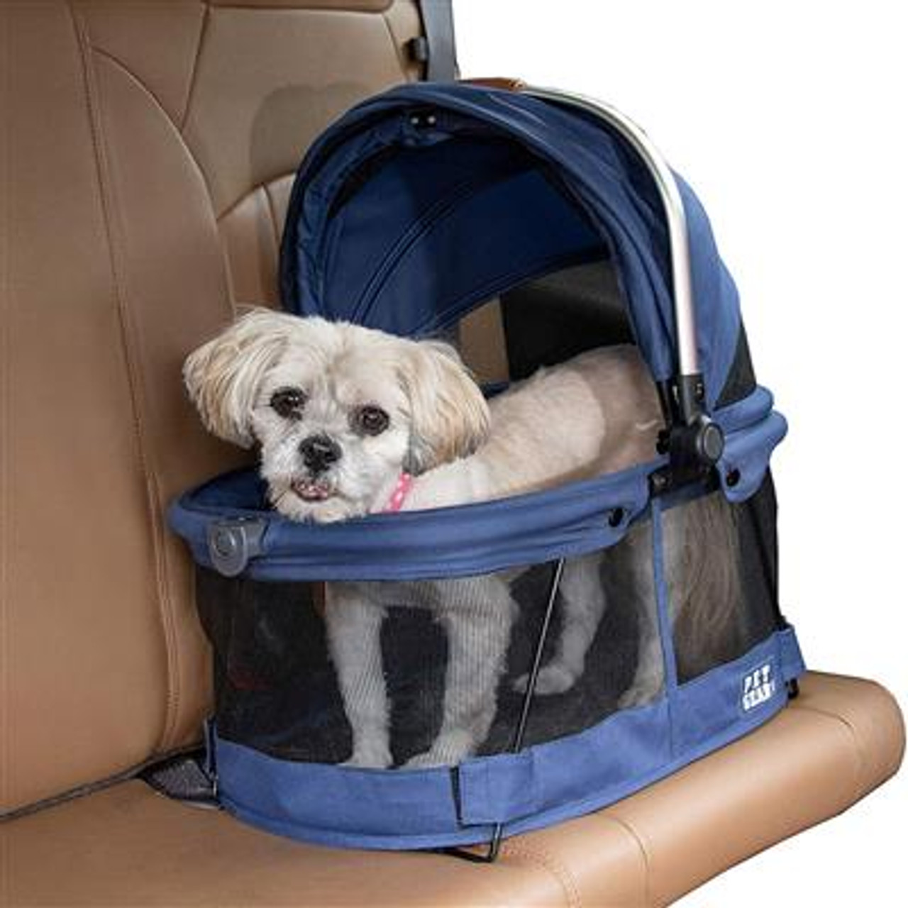 Purse Pooch c:  Pet carriers, Cute dogs, Dog carrier