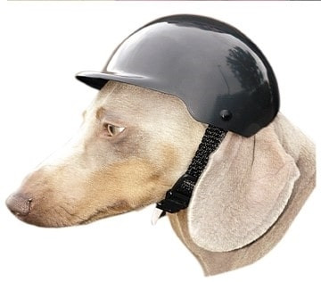 Motorcycle Dog Helmet Rockstar Puppy Boutique