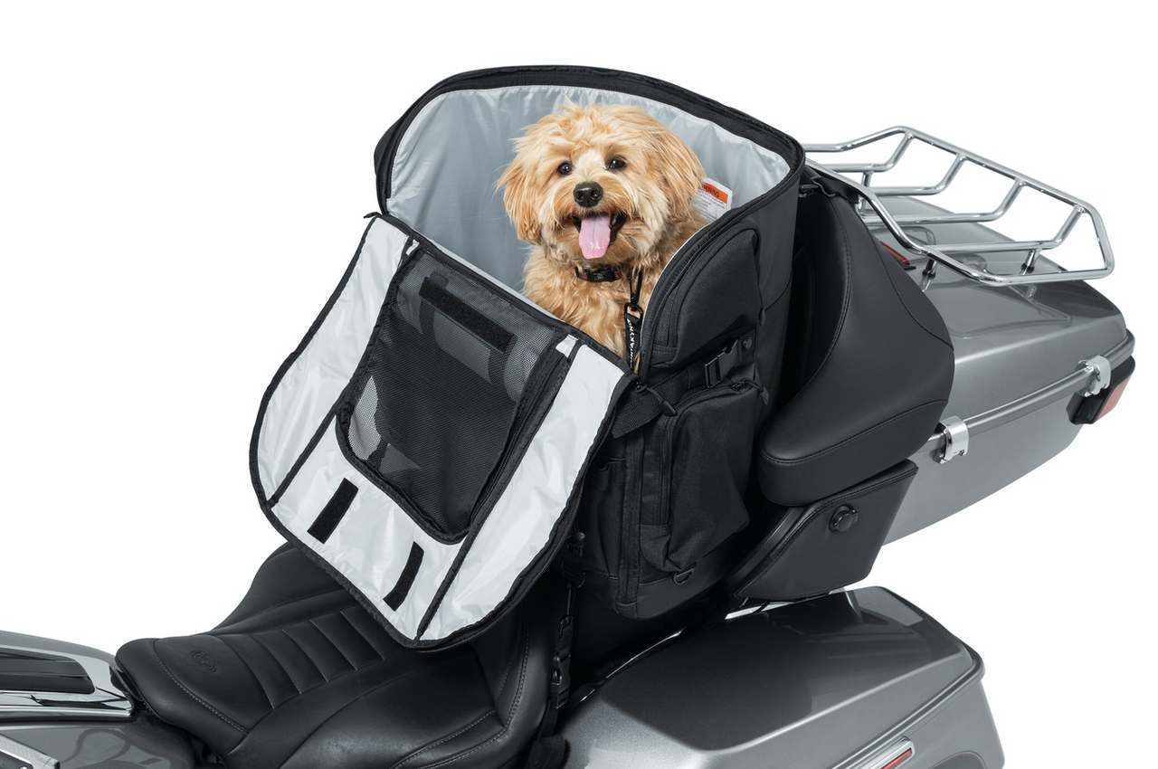 Rockstar puppy motorcycle pet carrier clearance