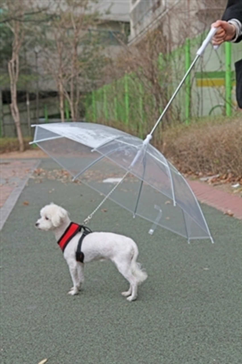 umbrella for dog leash