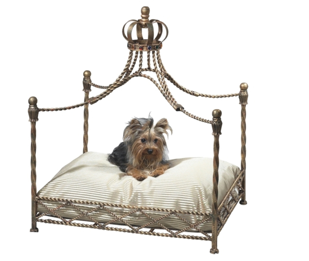 Canopy dog beds hot sale for small dogs