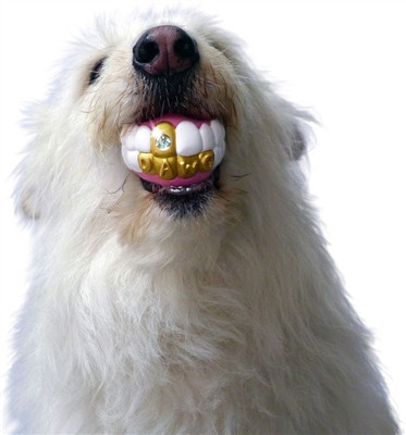 teeth ball dog