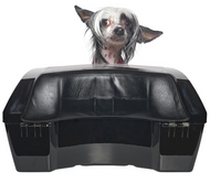 Online Pet Boutique Announces New Pet Carriers Designed To Fit Motorcycles